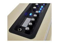 Mooer Hornet Modelling Combo WH Mooer Hornet Modelling Combo WH